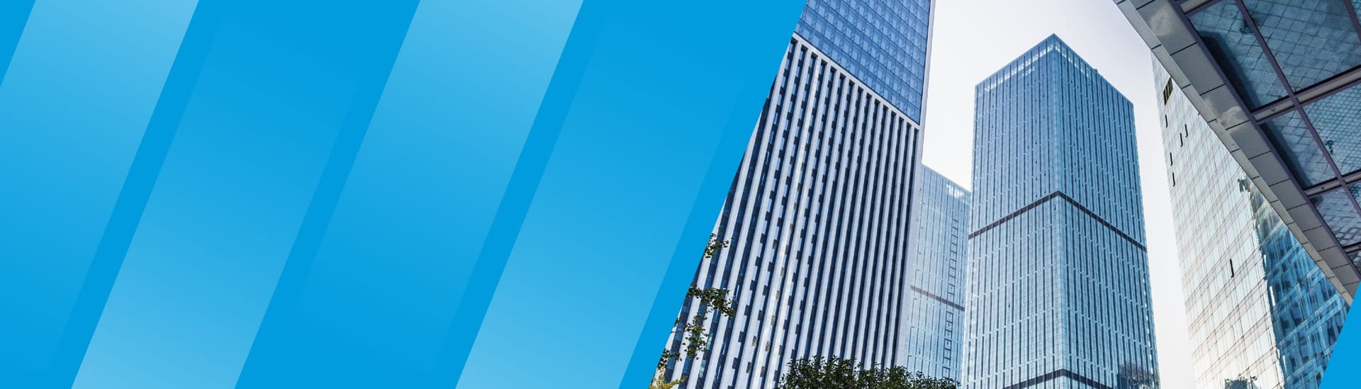 M&A Transaction Advisory and Outbound Direct Investment